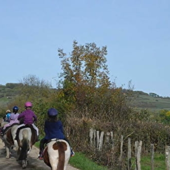 Ferme équestre de Juilly - ARCONCEY