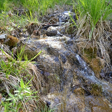 Les marais tufeux de pente _ENS2026  'sur réservation'