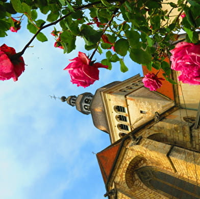 Découvrir la ville de Gray avec une guide passionnée