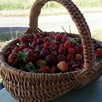 Ferme de Champbertrand - ROSOY