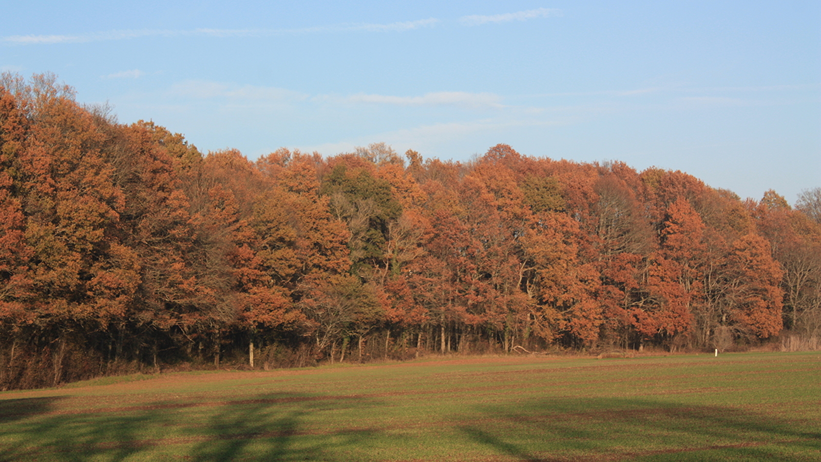 Entre vignes et Loire 