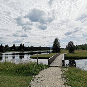 Les Belles Seignes - n° 51A - NOEL-CERNEUX