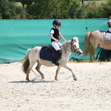 L'écurie des p'tits bouts