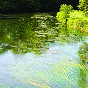 Voie Verte de la Vallée de l'Ognon - Liaison - FONTENOIS-LES-MONTBOZON