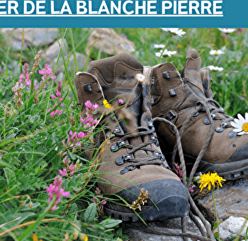 SENTIER DE LA BLANCHE PIERRE  - CHAMPAGNEY