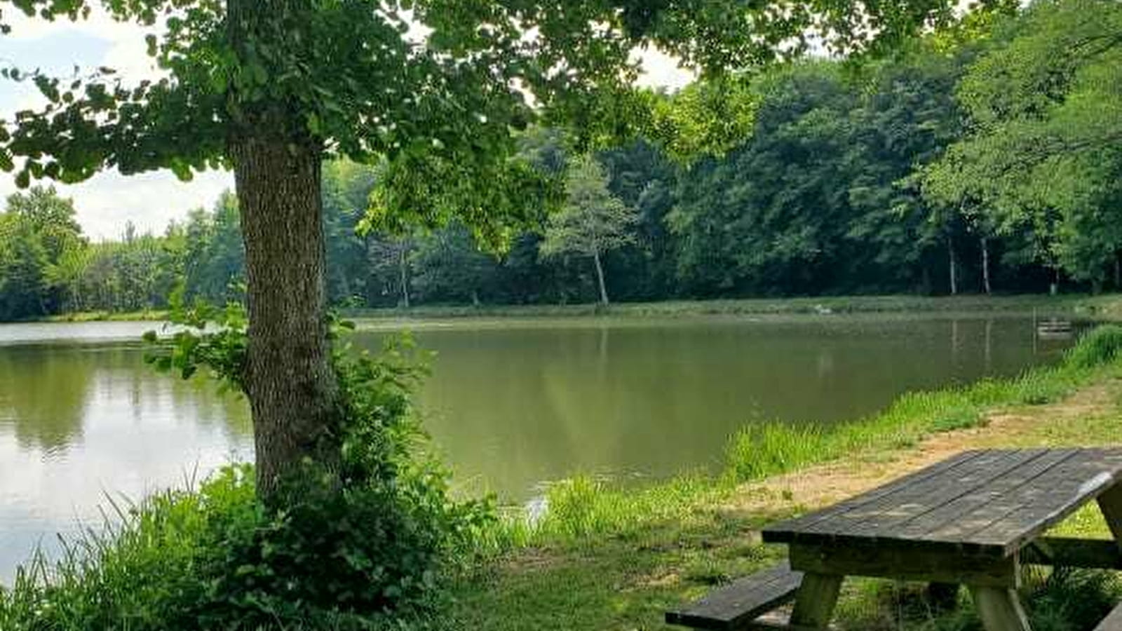 Aire de pique nique - Etang de Sampans