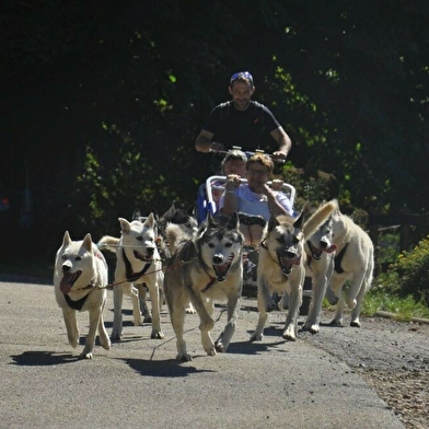 Free sled - Chiens de traîneaux / cani-rando et cani-trotinette