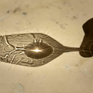 Soirée thématique : dégustation à l'aveugle