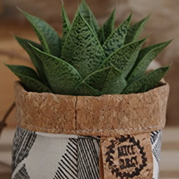 Alice Burgy Créatrice - VALAY