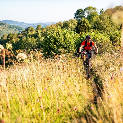 La Vallée du Savignard - 71R