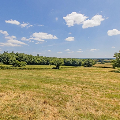 Gîte du Bois de la Velle