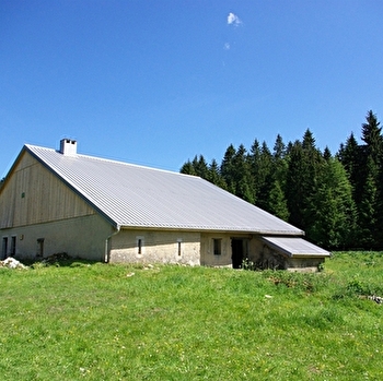 Mont d'Or - METABIEF