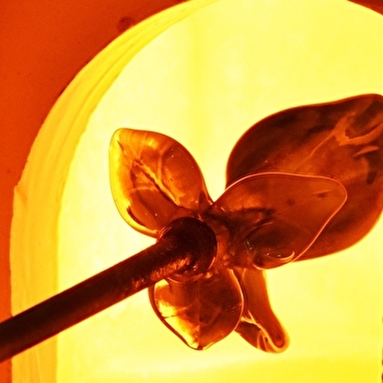 La Petite Verrerie - HAUTECOURT-ROMANECHE