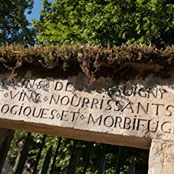 Village de Savigny-lès-Beaune - SAVIGNY-LES-BEAUNE