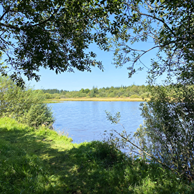 Étang Fontaine Carré