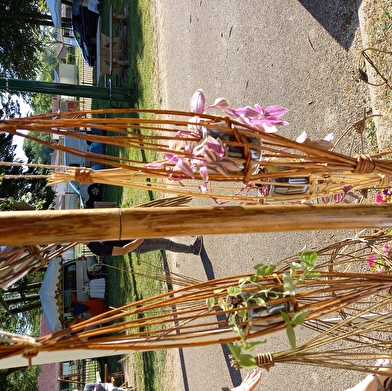 Stage de vannerie 'Hiver et Printemps'