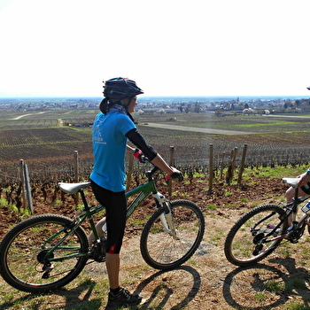 Rando VTT des Vignes 'Côte de Nuits'  - CHENOVE