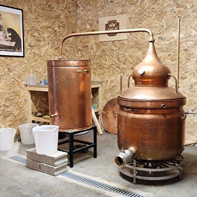 A la rencontre de David : Les trésors spiritueux de la Vallée de la Loue