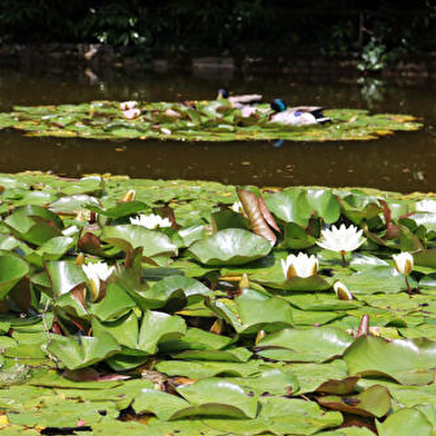 Parc des Carrières Bacquin
