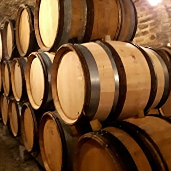 Forin Loïc - BLIGNY-LES-BEAUNE