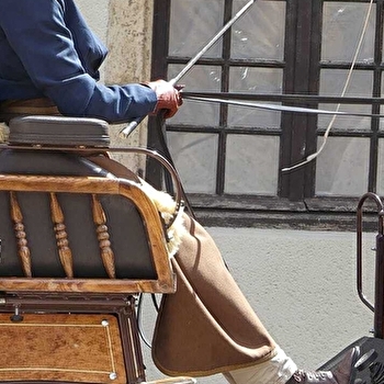 La Calèche de Clem - NOYERS