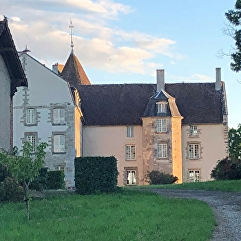 Château et Ferme de Dumphlun - BILLY-CHEVANNES