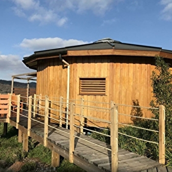 Les Cabio'Gites - cabane Douglas - ROTHONAY