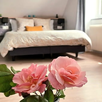 Les Plumes - GILLY-LES-CITEAUX