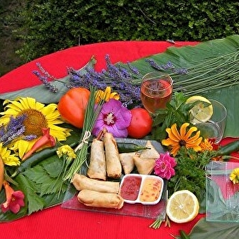 Le cocktail de Clémentine : cuisine exotique - LA CHARITE-SUR-LOIRE