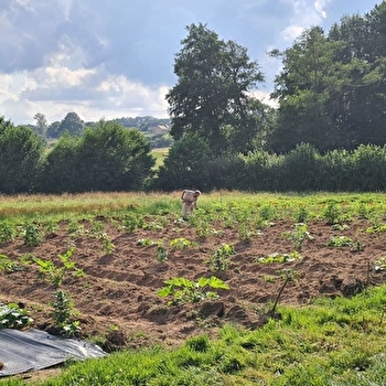 Jardin des Eaux Vives du Morvan - DUN-SUR-GRANDRY