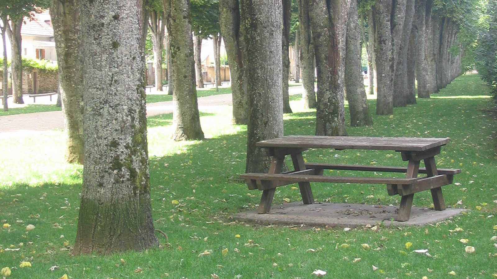 Aire de pique-nique de l'Allée des Tilleuls