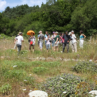 La Roulotte de l'Herberie