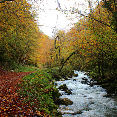 Randonnée pédestre : Forens - la cascade des Etrès