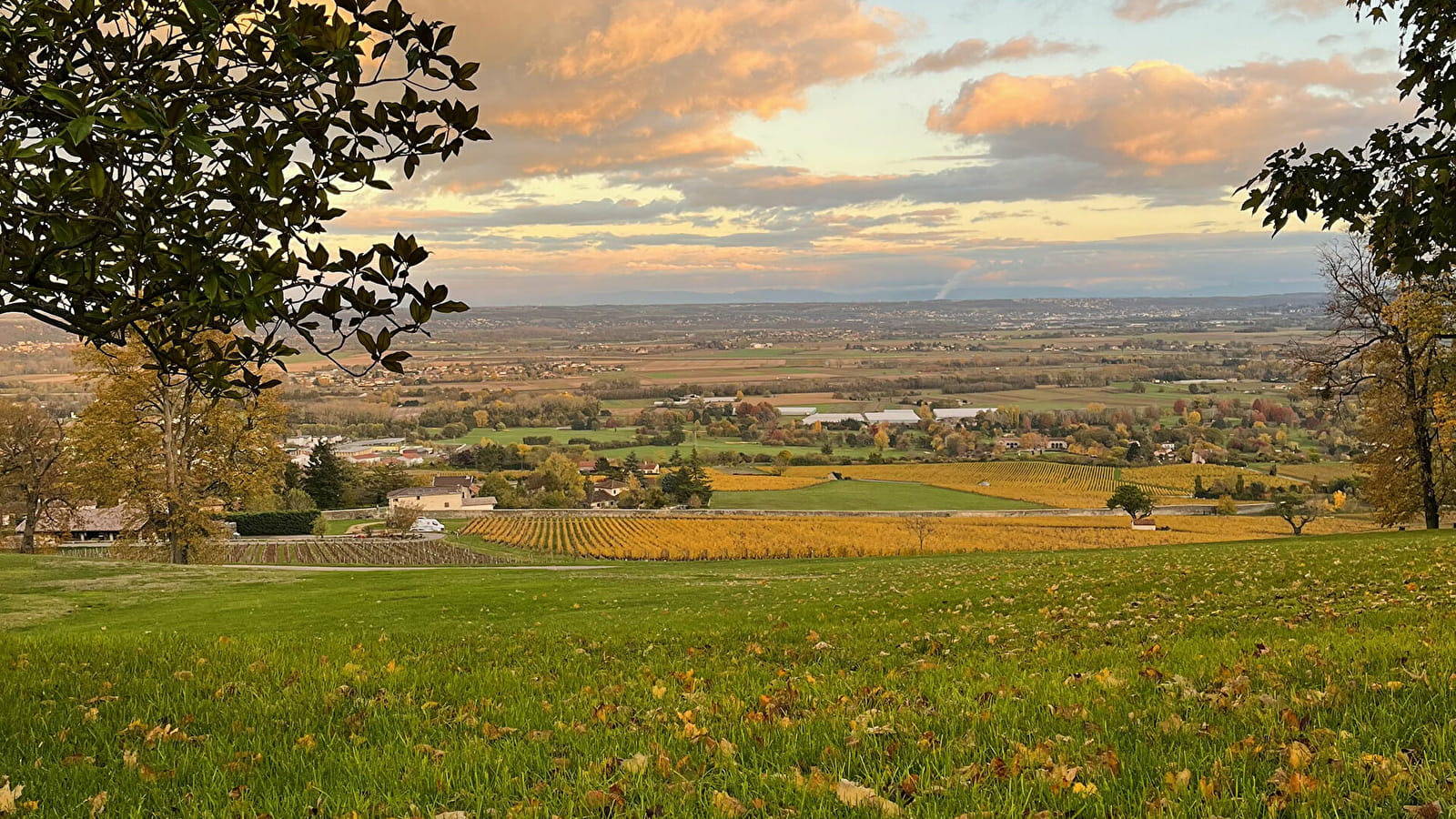 Château de Lachassagne