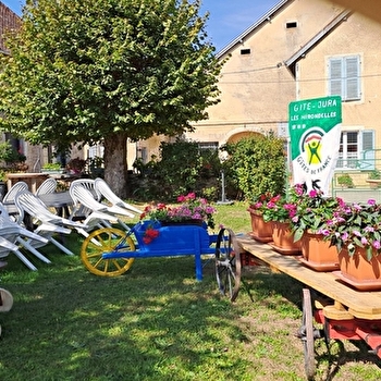 Les hirondelles - MOLAIN