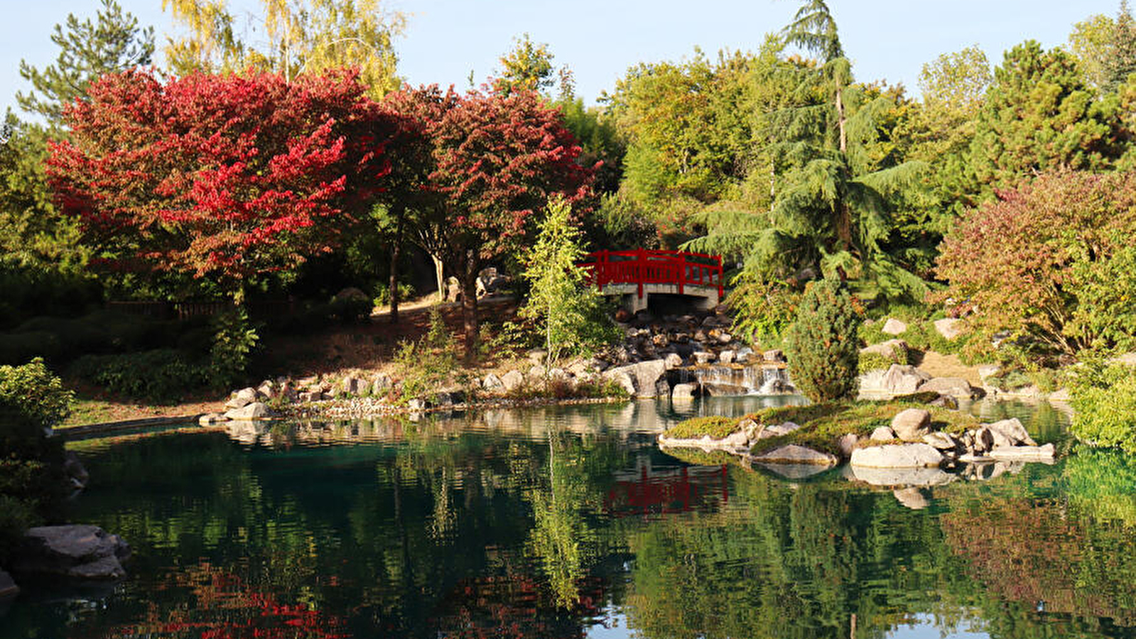 Jardin japonais