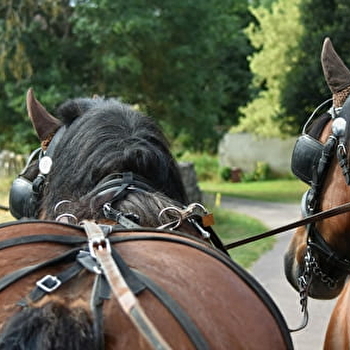 Les attelages de l'Auxois - ARNAY-SOUS-VITTEAUX