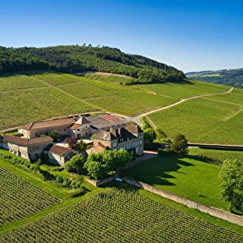 Visite du Musée de la vigne et du Vin - LA ROCHE VINEUSE
