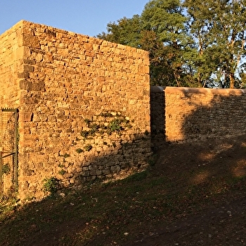 Vestiges du Château de Beaufort - BEAUFORT-ORBAGNA