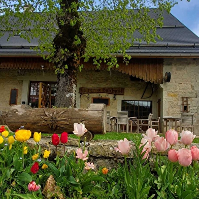 La ferme Guichard - Parcours de trail n°22