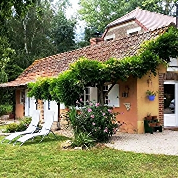 Le Petit Hibou - SAVIGNY-SUR-SEILLE