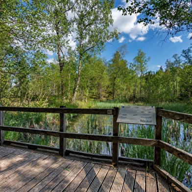 Emile Laroue, un naturaliste autodidacte passionné 