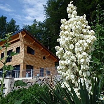 Villa Cora Venez- SPA privatif - Etat Neuf- Vosges du Sud - SAINT-BRESSON