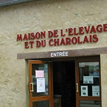 Visite couplée du Musée de l’Elevage et du Charolais et du Marché au Cadran - MOULINS-ENGILBERT