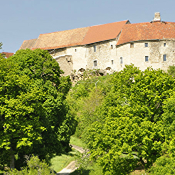 Château Médiéval de Montby - GONDENANS-MONTBY