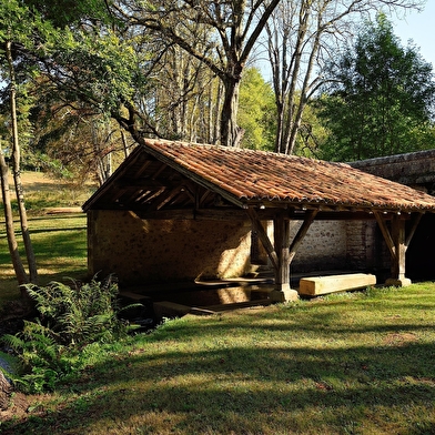 Balade à vélo - Lavoirs et vignobles de l'Auxerrois