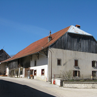 Le berger des vaches