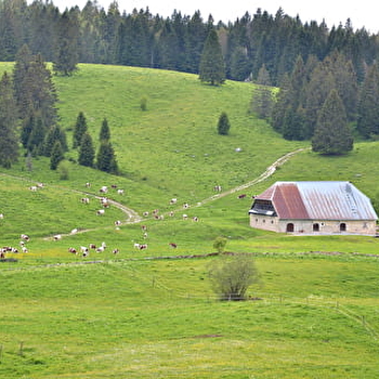 ENS - Le Pré-Bois des Bâties - MOUTHE