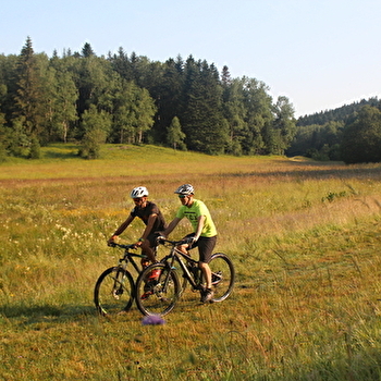 Parcours VTTAE 64 bleu - Montfalcon - Espace FFC Ain Forestière - PLATEAU D'HAUTEVILLE