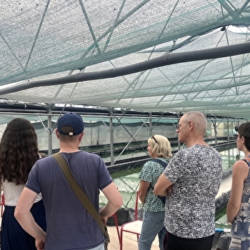 Spiruline des Sapins - BELVOIR